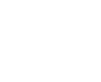 Madison Cafe